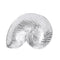 Mariposa Nautilus Shell Sauce Dish-shopbody.com