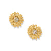 Brighton Daisy Dee Post Earrings-shopbody.com